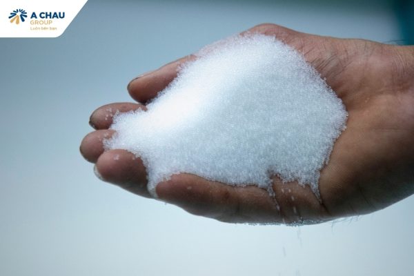 Nguyên liệu hạt nhựa EPS non được chọn lọc kĩ càng trong quy trình sản xuất khay yến