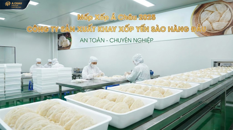 Công ty sản xuất khay xốp yến sào hàng đầu