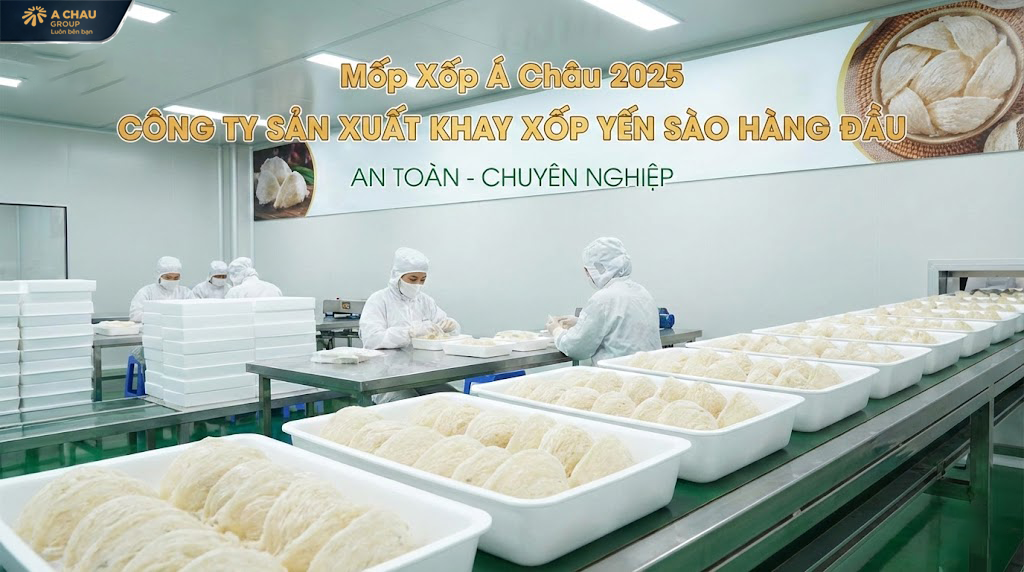 Công ty sản xuất khay xốp yến sào hàng đầu