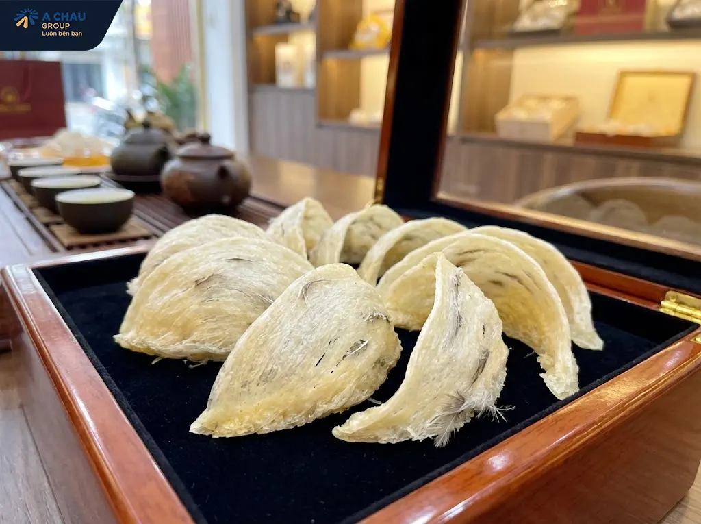 Khay mốp xốp đựng yến tổ nguyên tổ