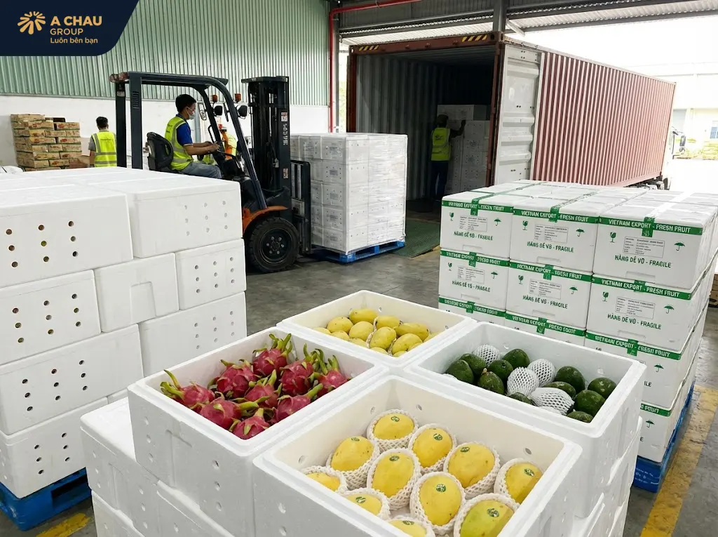 Giải pháp đóng gói nông sản và trái cây xuất khẩu