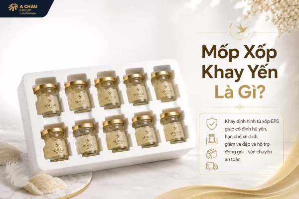 Mốp xốp khay yến là gì